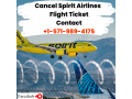 how-to-hold-tickets-on-spirit-airlines-farezhub-small-0